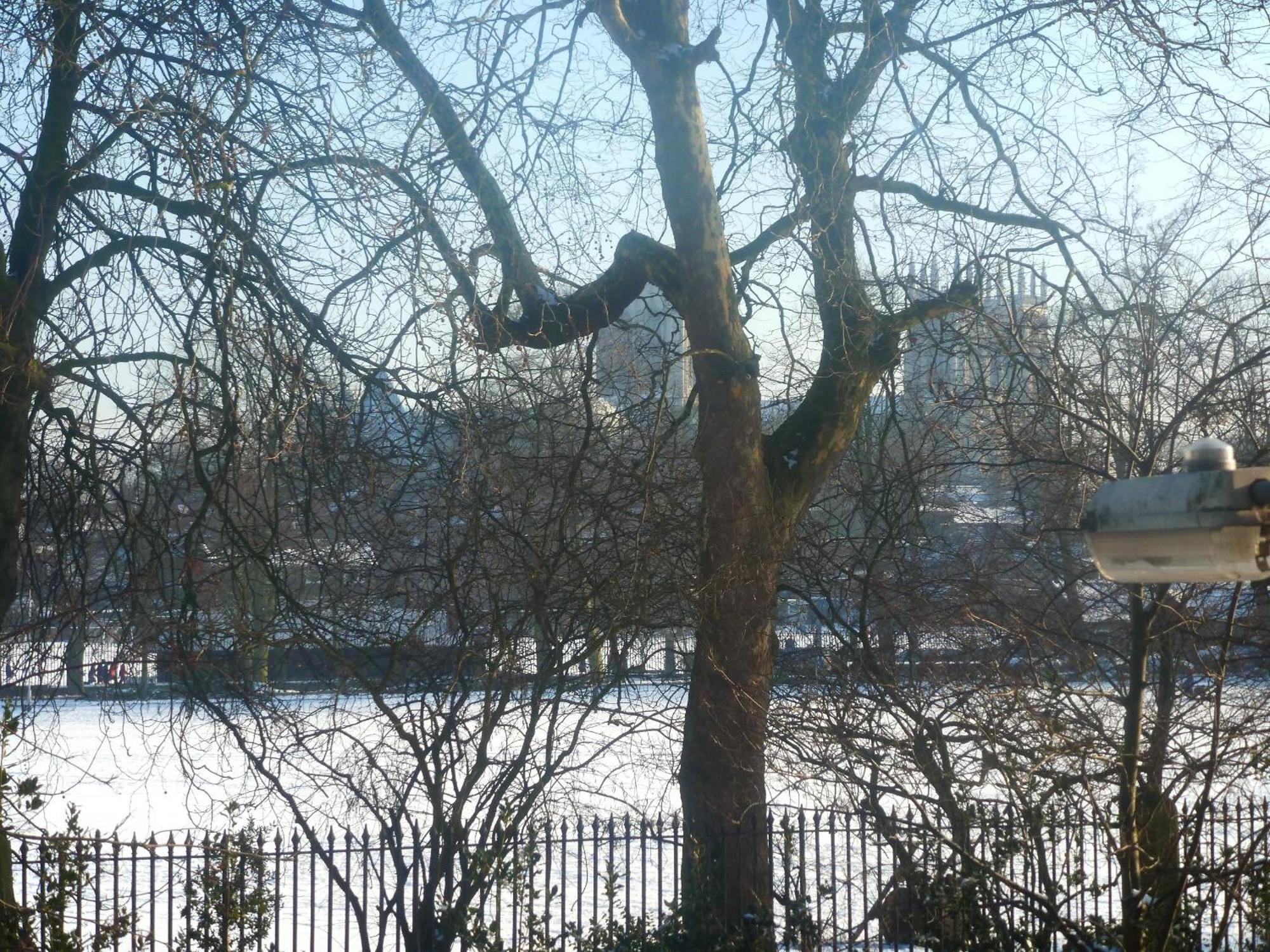 Bronte Guest House York Bagian luar foto